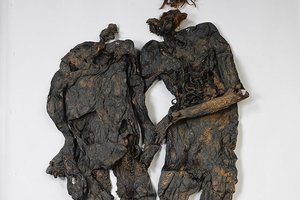 Het paar van Weerdinge